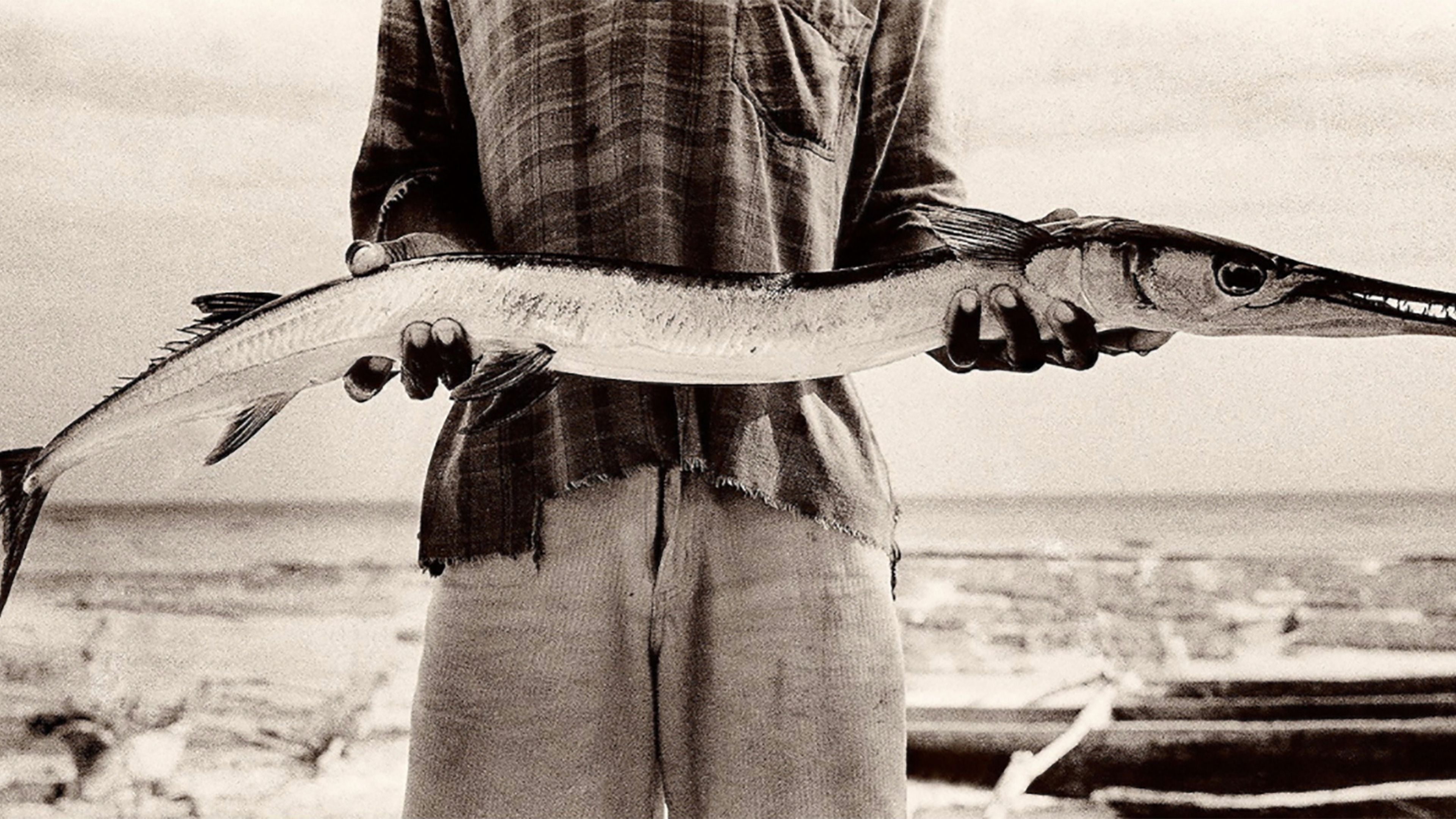 Antti Viitala | Artist