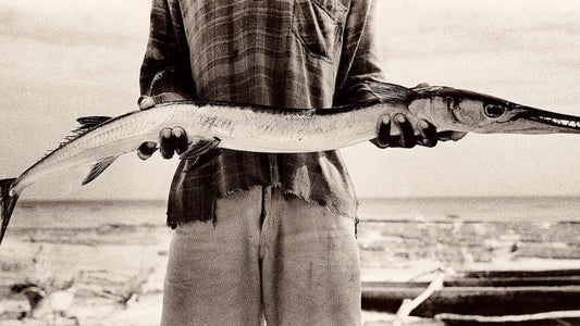 Antti Viitala | Artist