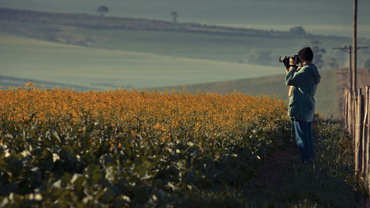 Samantha Osner | Artist