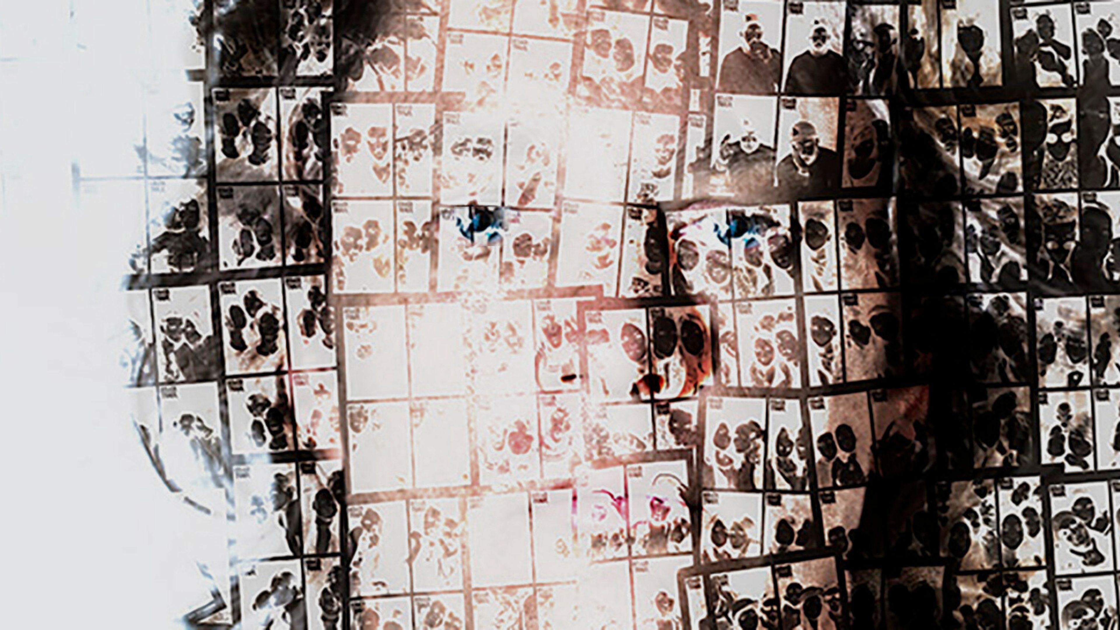 Graham Williams | Artist