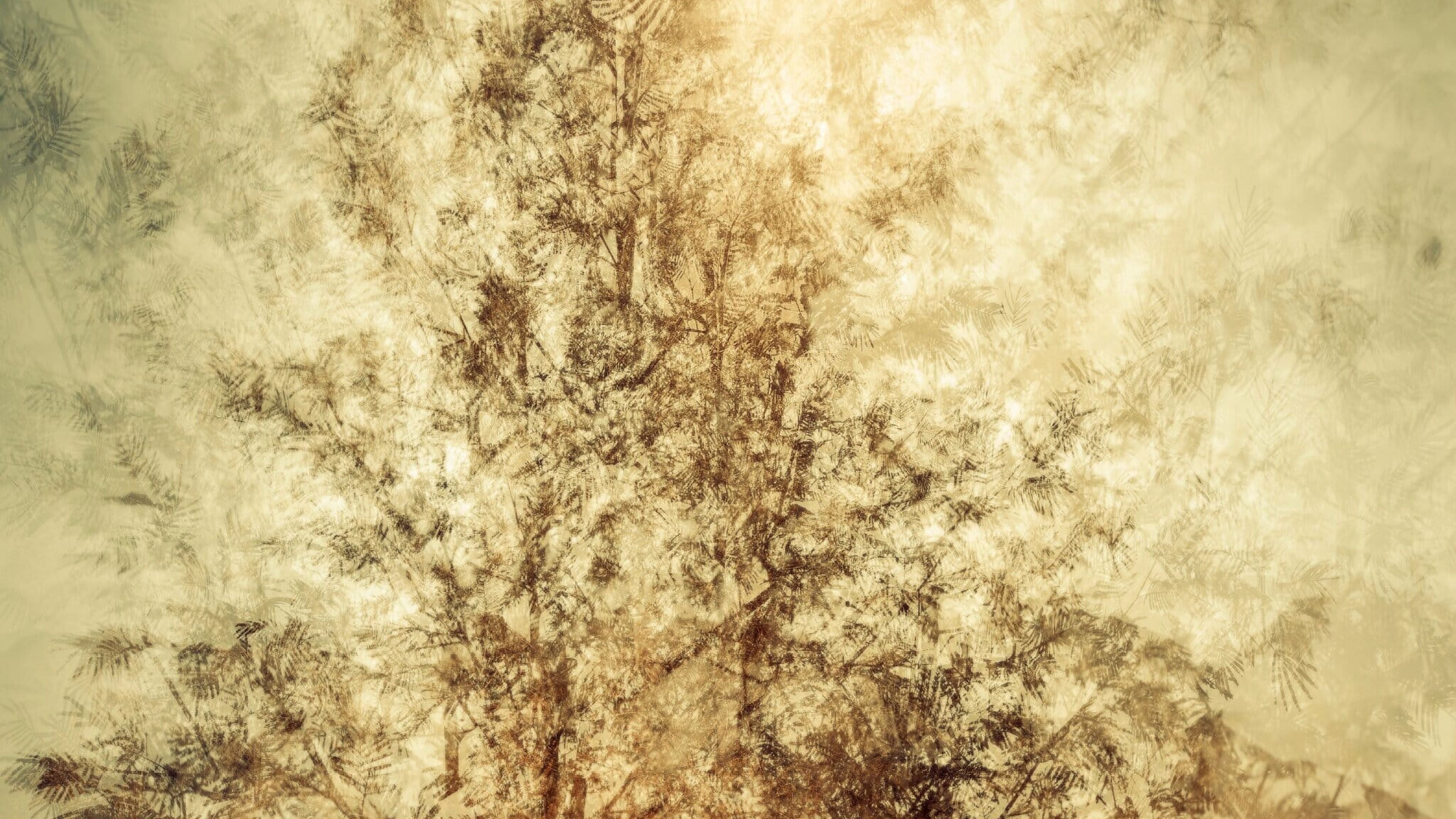 Abstract fine art composition of layered tree branches in warm golden tones, blending natural forms with textured, painterly effects