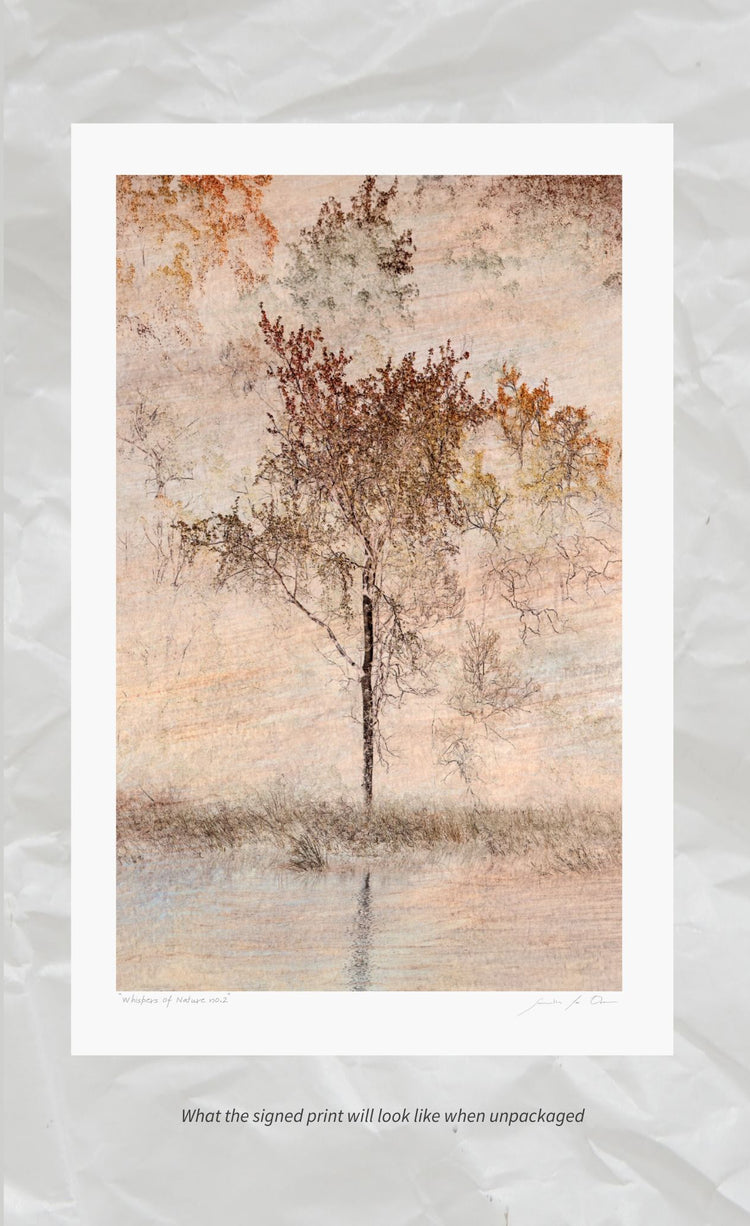 Whispers of Nature No.2