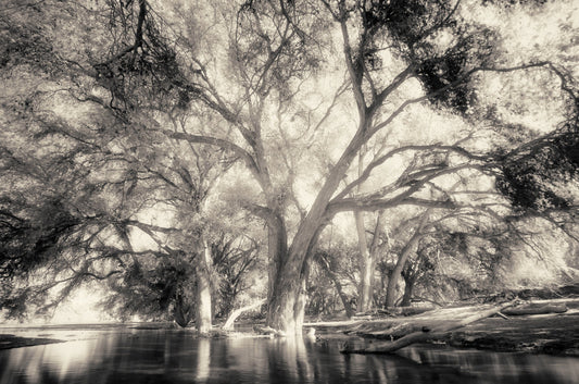 Ethereal Reverie No.2