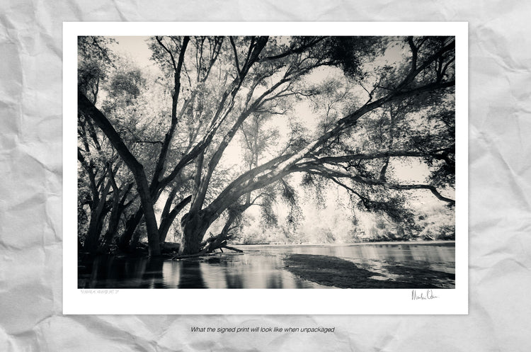 Ethereal Reverie No.3