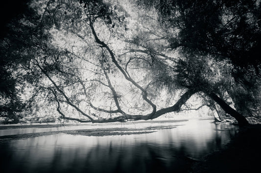 Ethereal Reverie No.6