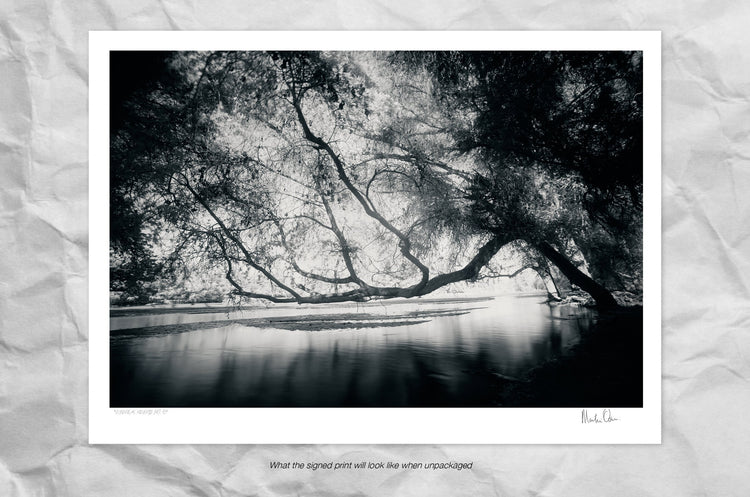 Ethereal Reverie No.6