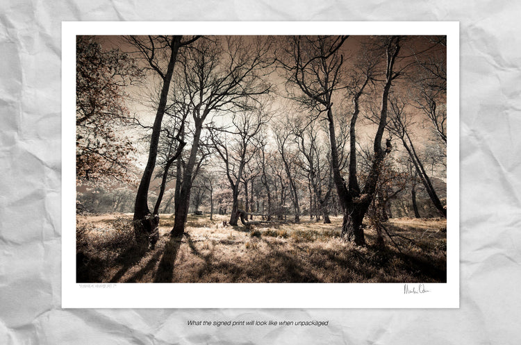 Ethereal Reverie No.7