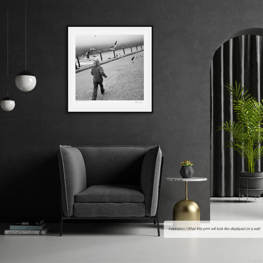 On the move - Chasing gulls