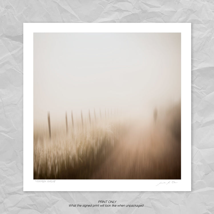 Countryside Phantasy