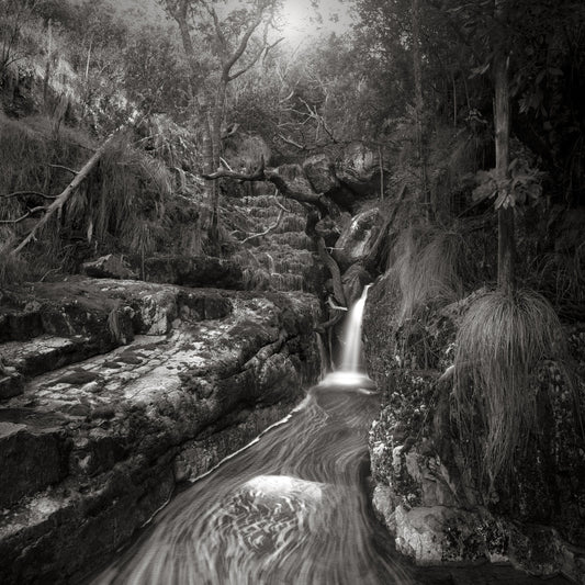 Classic Black & White - Orange Kloof