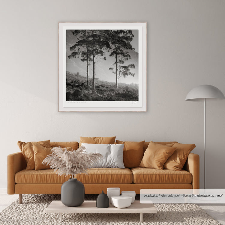 Classic Black & White - Cecelia View - Table Mountain