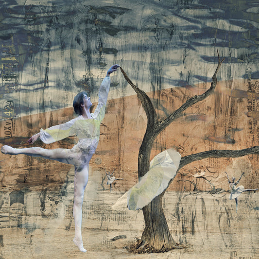 Sossusvlei Ballet - Arabesque