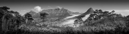 Table Mountain Vista in Black and White