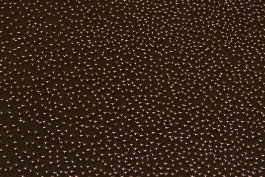 Patterns of Africa | Flamingo Impressions