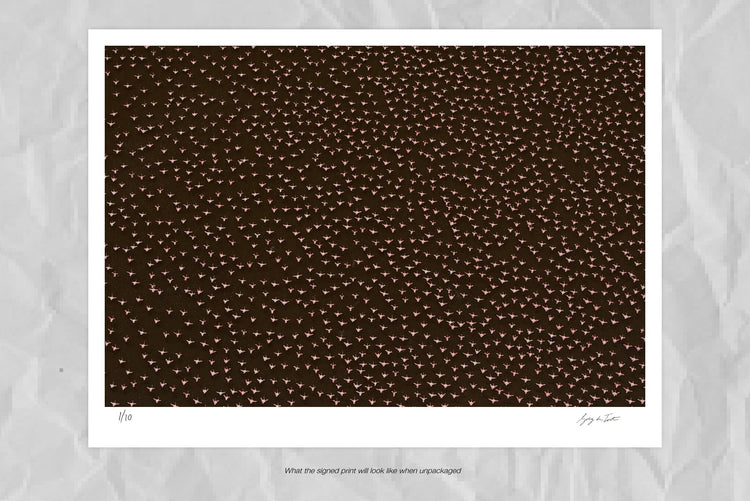 Patterns of Africa | Flamingo Impressions