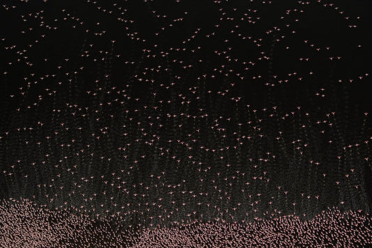 Patterns of Africa | Pink Impressions