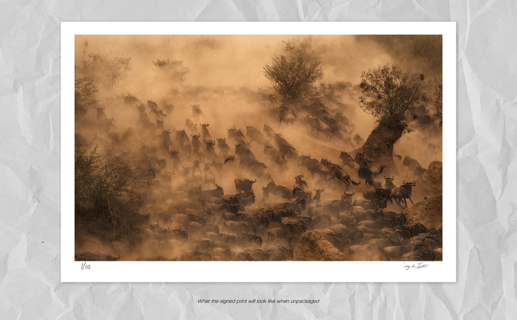 On the move | Implausibility of Wildebeest