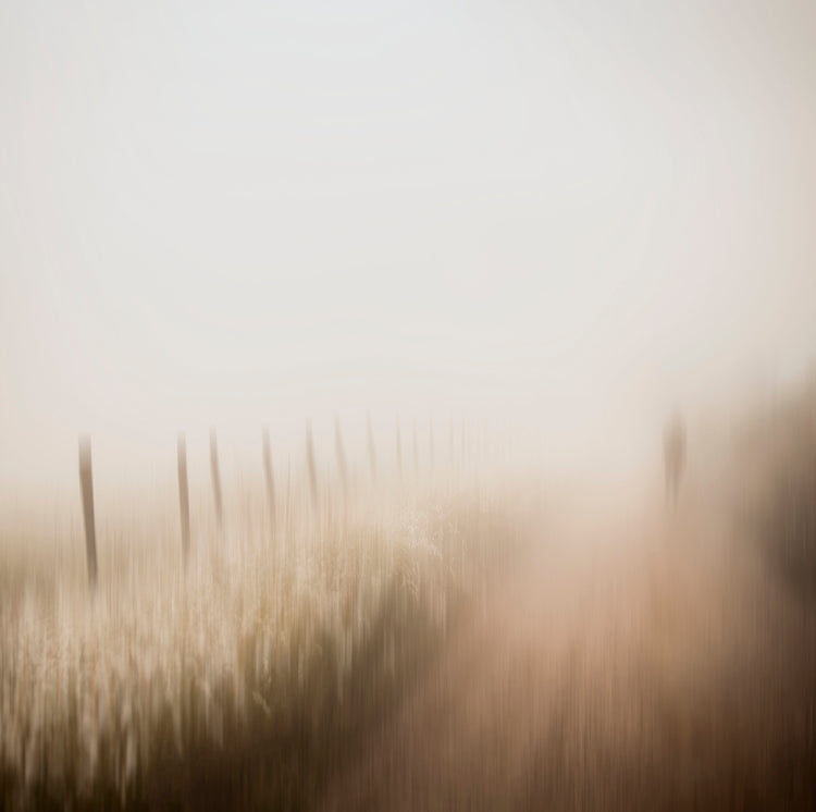 Countryside Phantasy