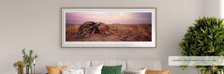 Ancient Survivor No.3