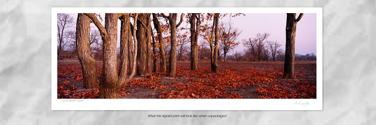 Kafue Mopane Cluster