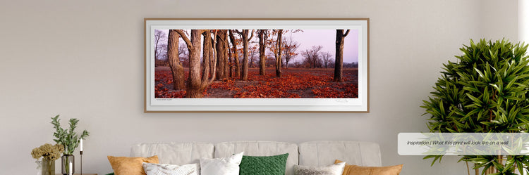 Kafue Mopane Cluster