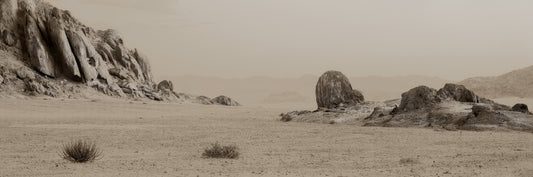 Arid Wilderness No.2