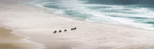 Long Beach Mirage Panoramic