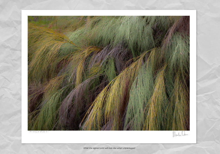 Patterns of Nature No.2