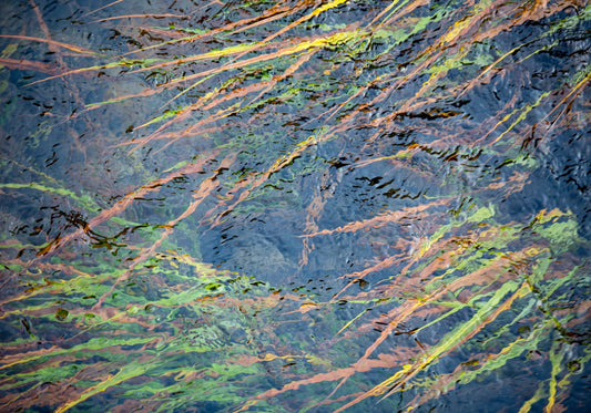 Patterns of Nature No.3