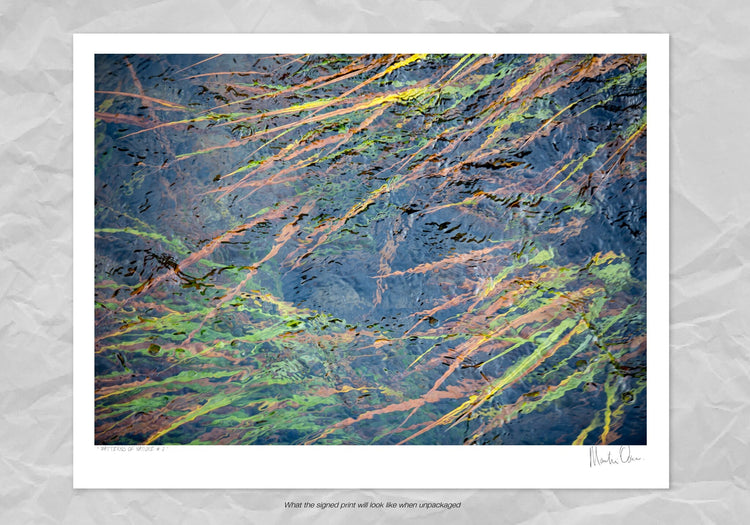 Patterns of Nature No.3