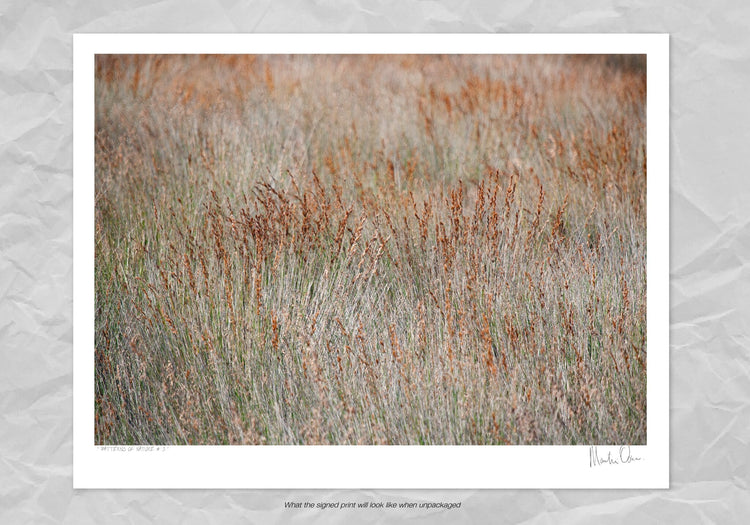 Patterns of Nature No.4