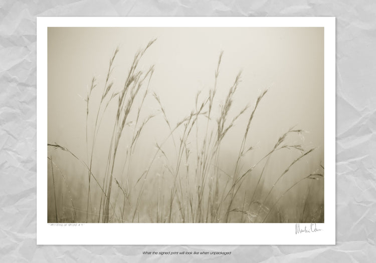 Patterns of Nature No.5