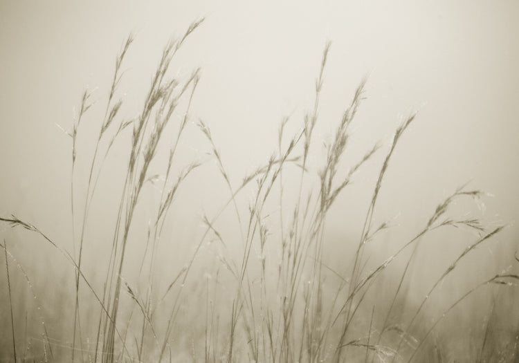 Patterns of Nature No.5