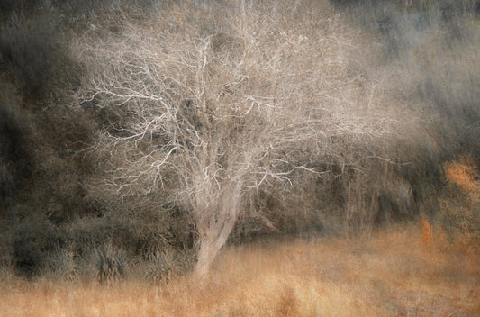 Pièce de Rèsistance No.6