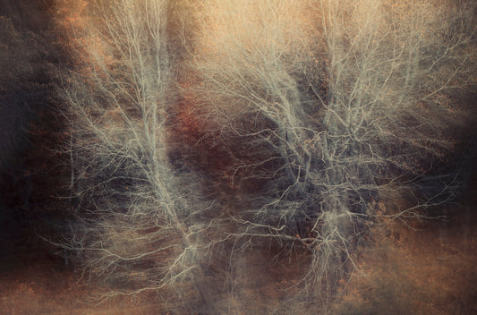 Pièce de Rèsistance No.5