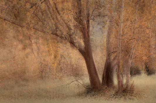 Pièce de Rèsistance No.3