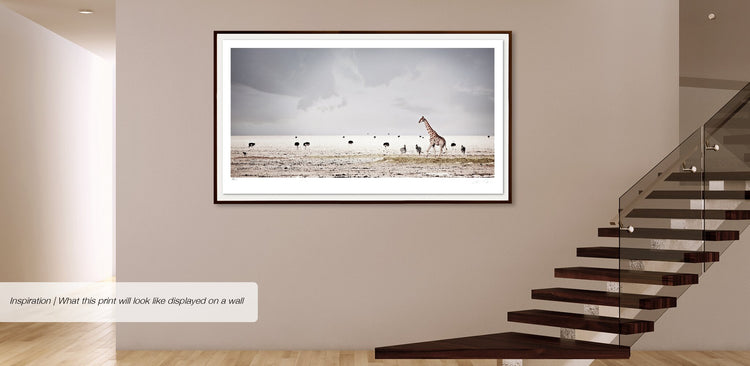 Harmony | Pride of Africa