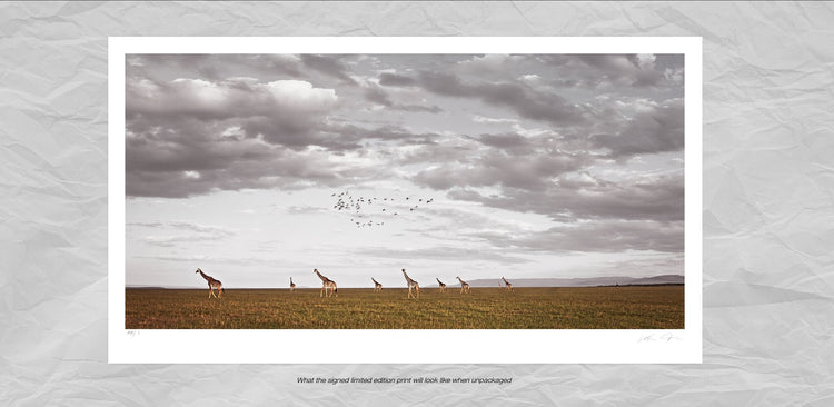 African Visa | Pride of Africa