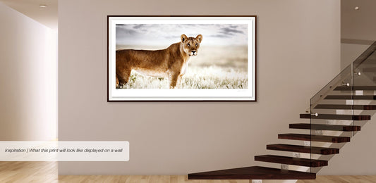 Reverence No.1 | Pride of Africa