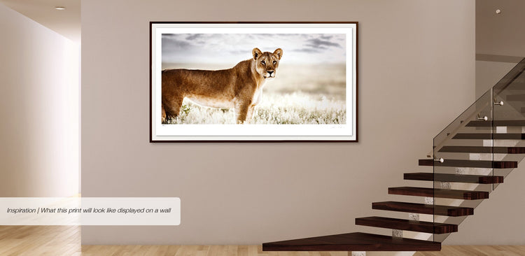 Reverence No.1 | Pride of Africa