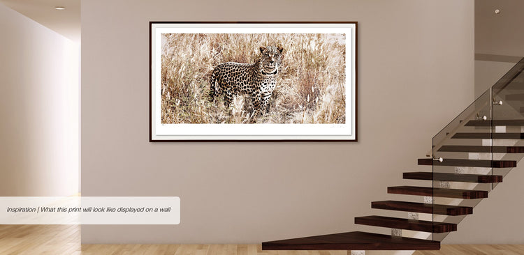 Dignity | Pride of Africa