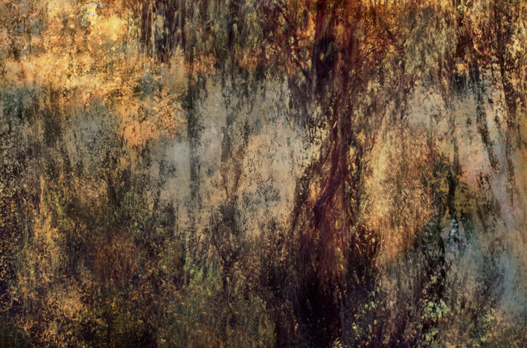 Secrets in Eden No.3