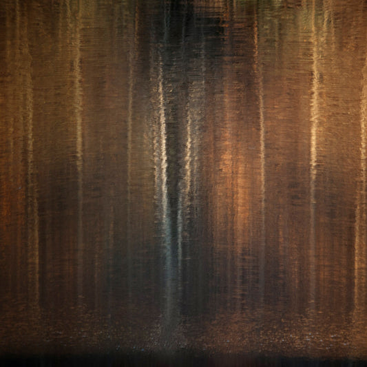 Illusions of a forest