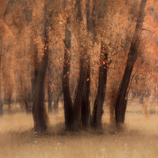 Pièce de Rèsistance No.1