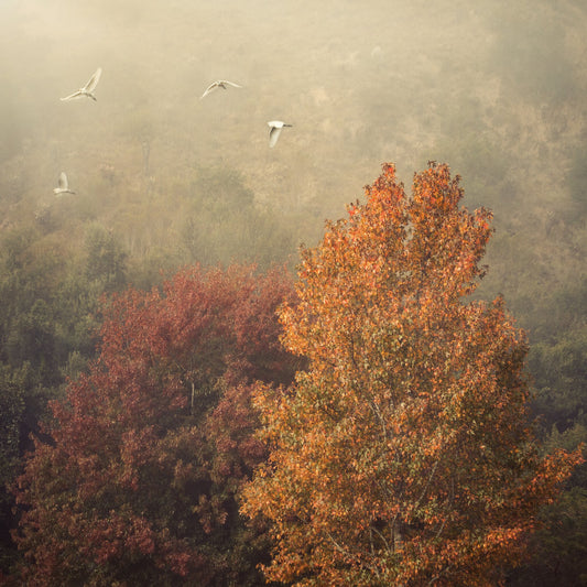 Valley of Ochre No.1