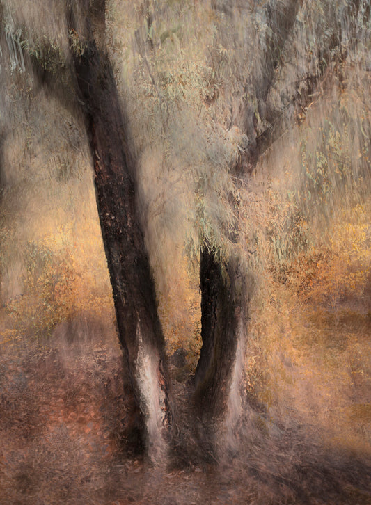 Pièce de Rèsistance No.7