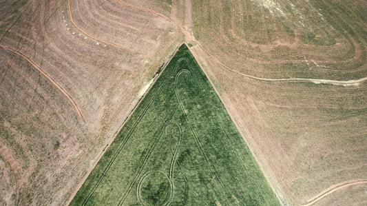 From Above | Delineation No.2