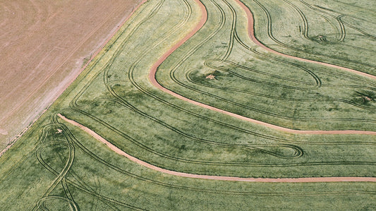 From Above | Delineation No.3