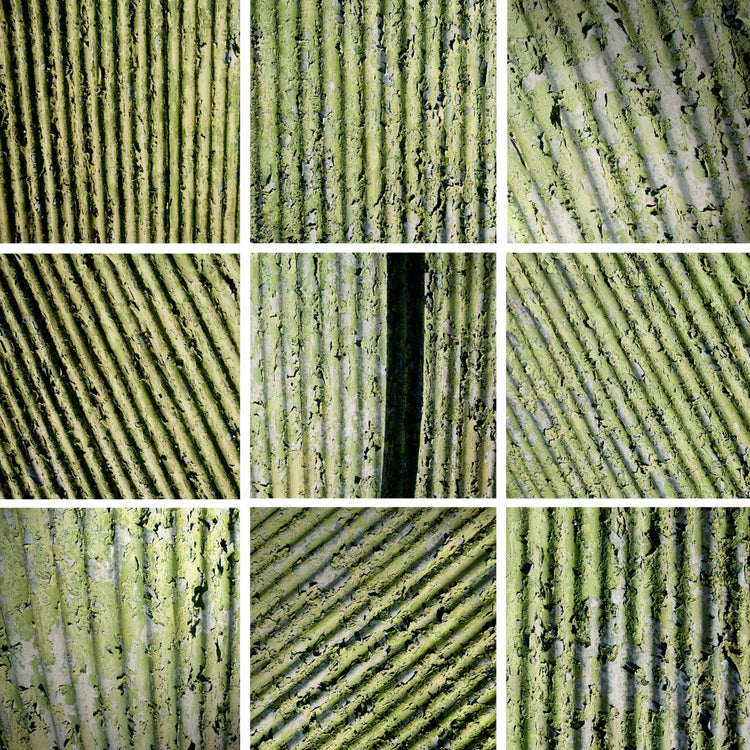 Analogous Anthology No.2