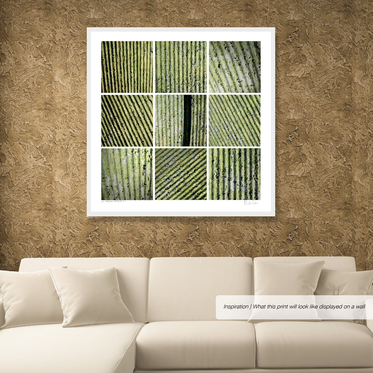 Analogous Anthology No.2